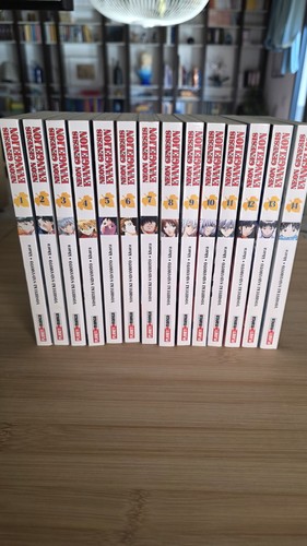 Neon genesis evangelion serie - neon,